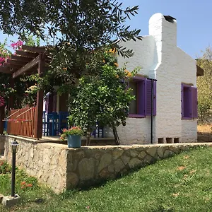 Koy Evi Apart Otel Palamutbükü